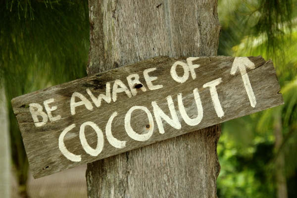 be aware of coconut